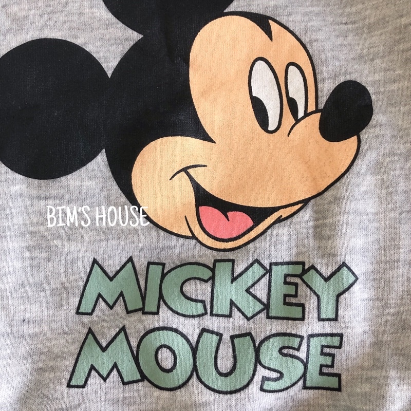 Bộ micky nỉ bông