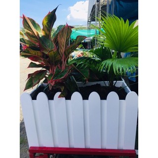 Chậu hàng rào composite 50x25x25