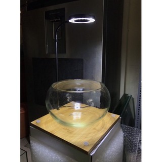 BỂ CÁ TRÒN MINI - BỂ CÁ ĐỂ BÀN