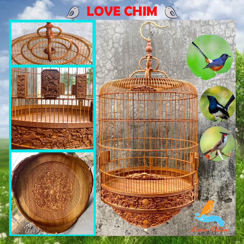 Lồng chim Chòe Than,chim Chòe Lửa,chim Chào Mào, Lồng Chòe Lửa - Chòe Than đẹp LOVECHIM ( white-rumped shama cage)
