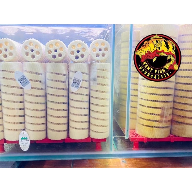 THÙNG - SỨ MOUTIAN TREE V2 và V3