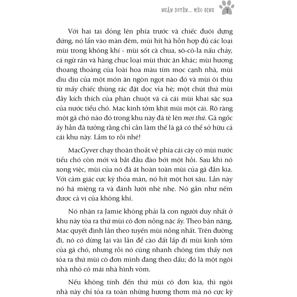 Sách Nhân Duyên ... Mèo Định - First News