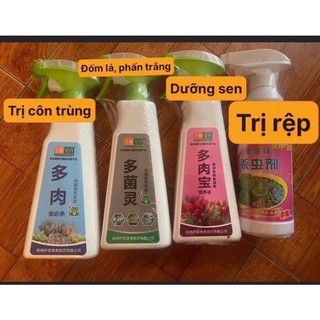 CHAI XỊT TRỊ RỆP CHO CÂY CẢNH, SEN ĐÁ