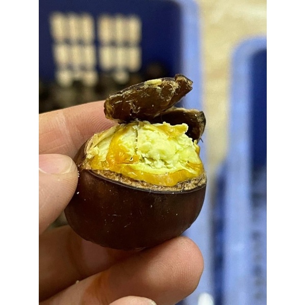 Hạt dẻ sapa xịn