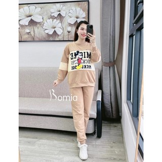 Bộ bầu nỉ hình Mickey