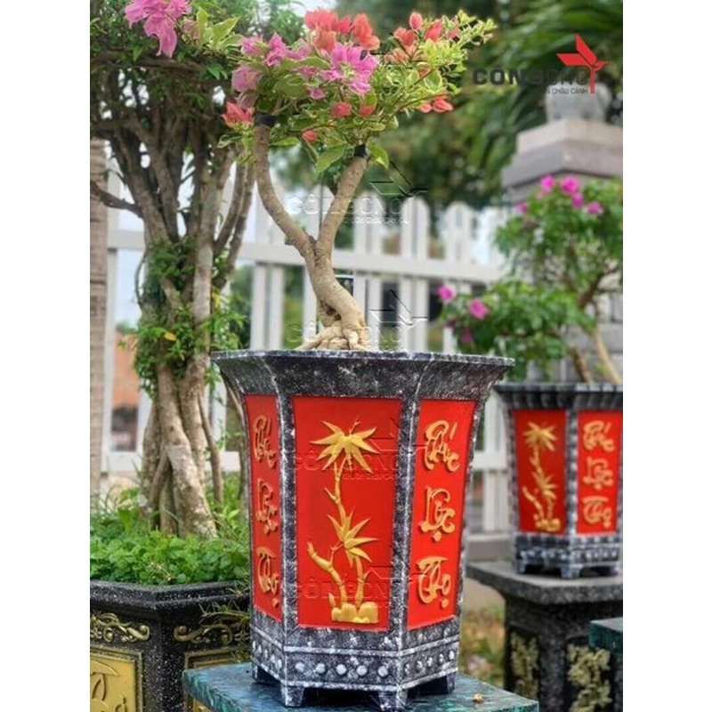 Combo khuôn chậulục giác ly 35 và chân đôn tròn cao 45