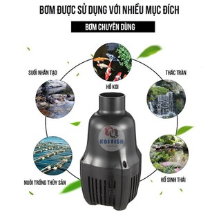 Máy bơm tạt hồ cá Koi Periha PG 20 - 60 (máy bơm nước siêu tiết kiệm điện, vận hành êm ái, siêu bền)