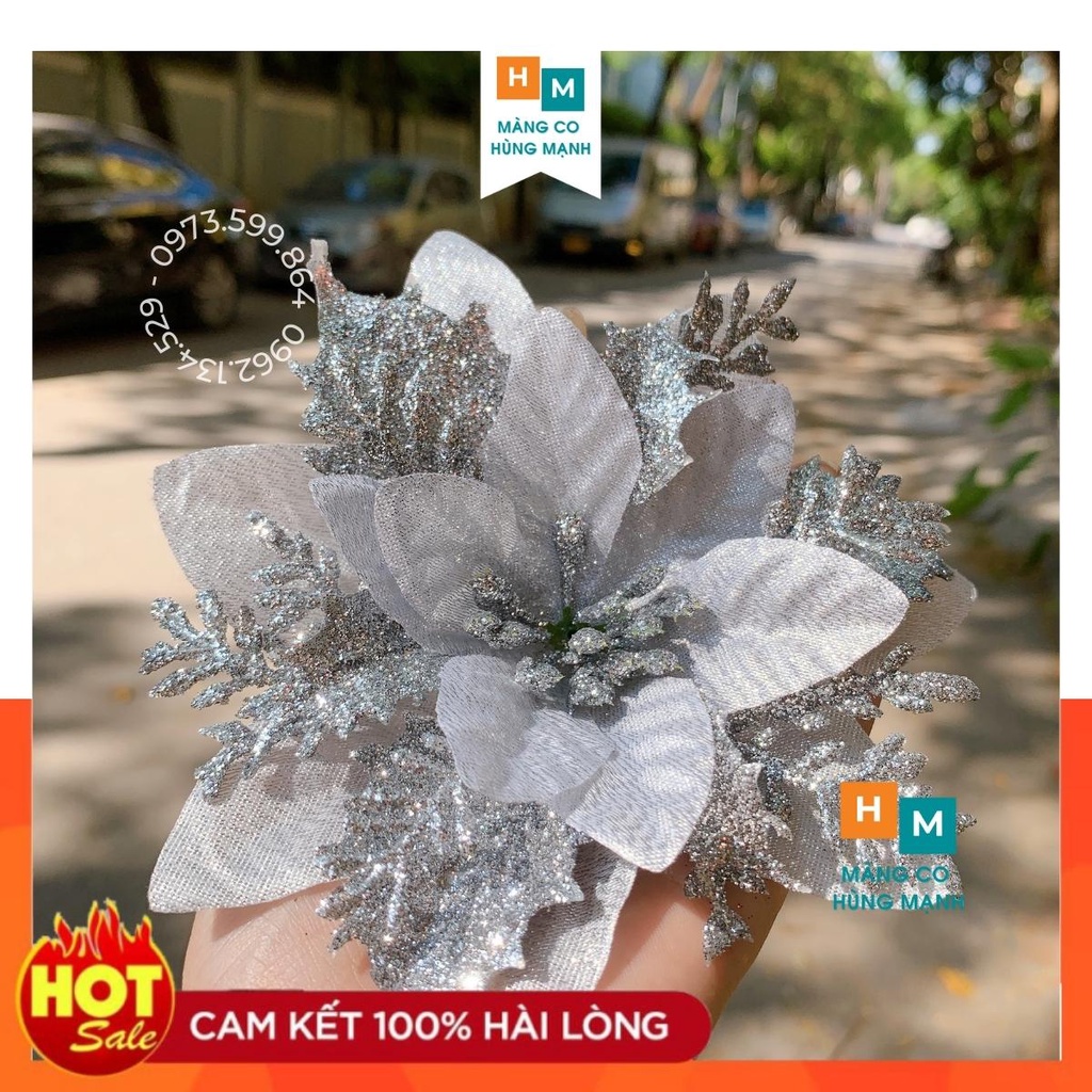 Hoa Trạng Nguyên size to đẹp