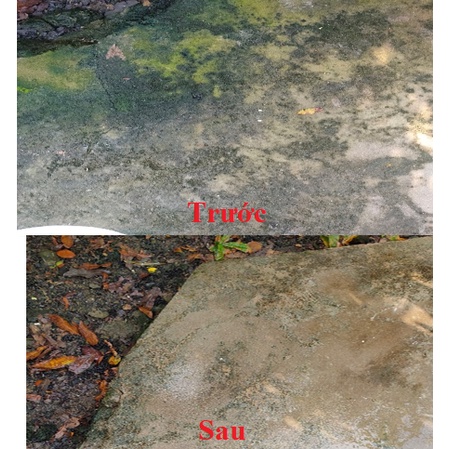 01kg Bột tẩy rong rêu sân nền xi măng, bê tông, tường gạch,...