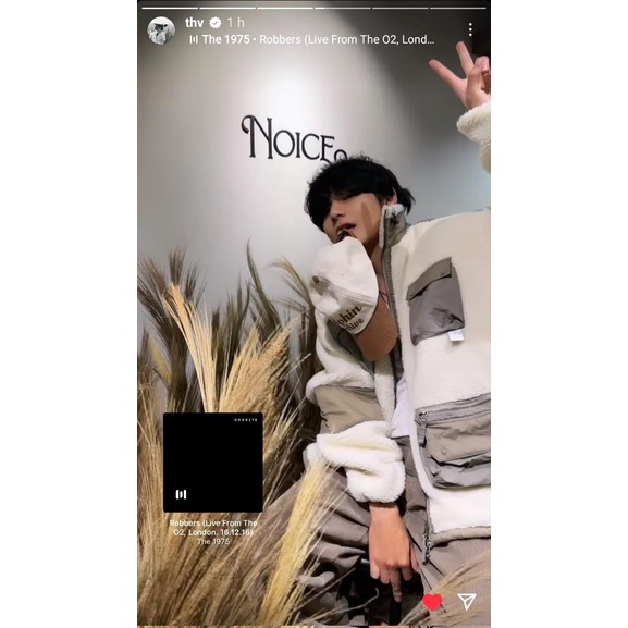 CHÍNH HÃNG MŨ DOLPHIN WAIKEI TAEHYUNG V BTS