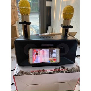 Loa karaoke Bluetooth SD-301 ( 2 mic không dây, khay để điện thoại)