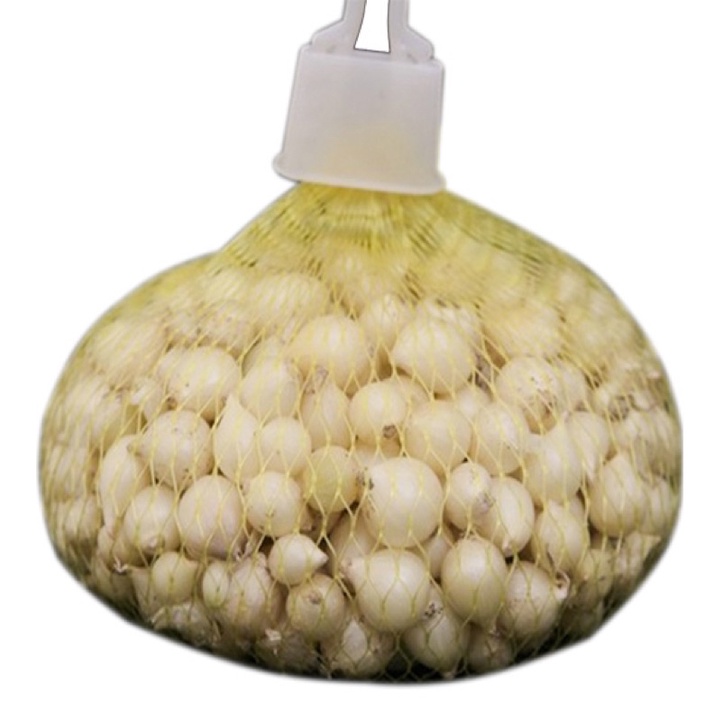 Củ nén hành tăm quảng nam túi lưới 500g