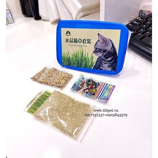 BỘ HẠT GIỐNG CỎ MÈO CATNIP (BỘ KIT TRỒNG CỎ MÈO )