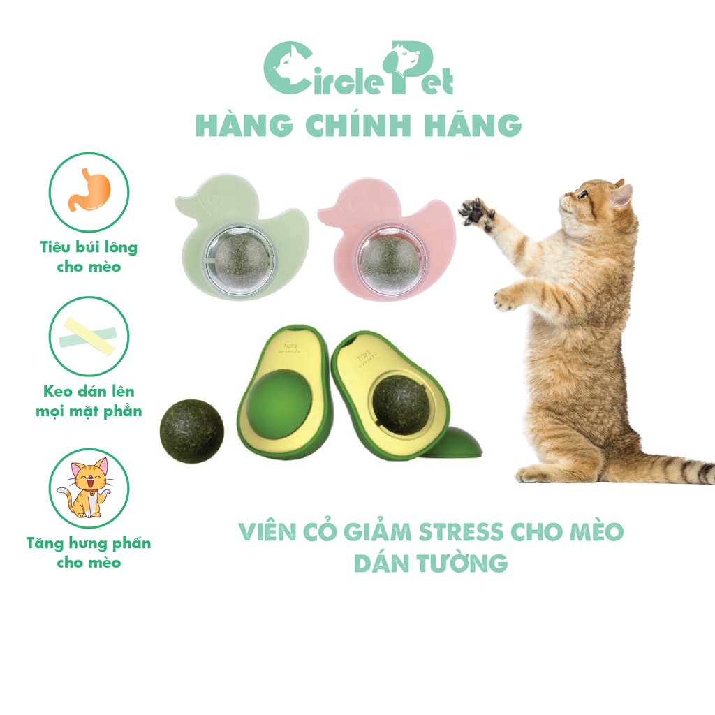 Viên cỏ giảm stress cho mèo dán tường - CirclePet
