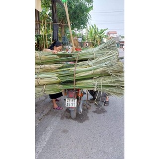 Chổi cọ quét sân