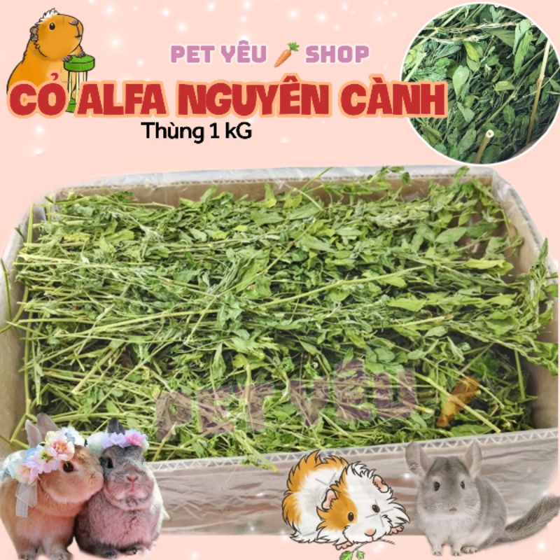 Cỏ alfa - cỏ khô alfala- alfala (1KG) MớiFreeship thức ăn thỏ bọ chinchilla chuột lang không bụi lá to cọng mềm xanh