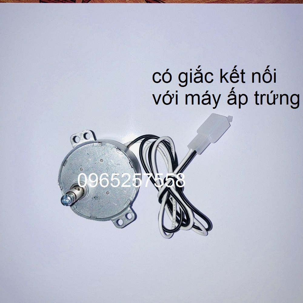 Mô tơ đảo trứng dùng cho máy ấp trứng, mô tơ quay chậm, mô tơ giảm tốc, mô tơ lò nướng, Motor, Motuer