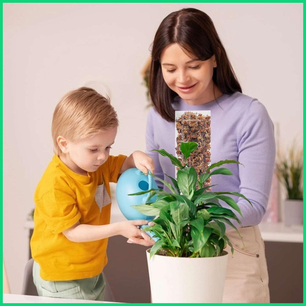 Gậy Hỗ Trợ Trồng Cây Trong Nhà 24 Inches Monstera Moss Leo Trèo Monstera jiwvn Jwvn