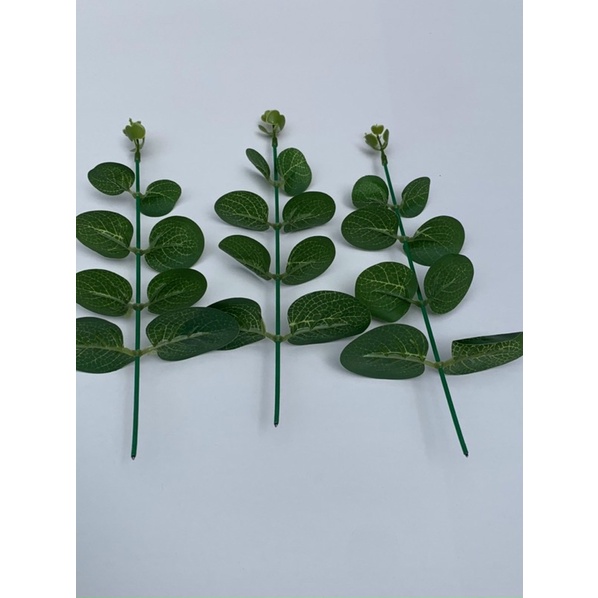 100g lá táo hàng đẹp chuẩn như hình