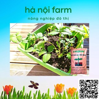1kg đất tribat trồng rau