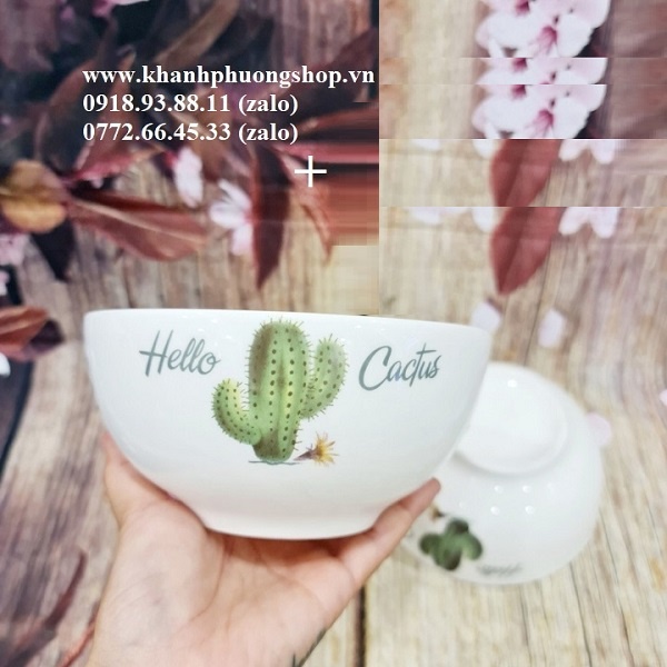 tô sứ ăn cơm - tô sứ trắng ăn cơm