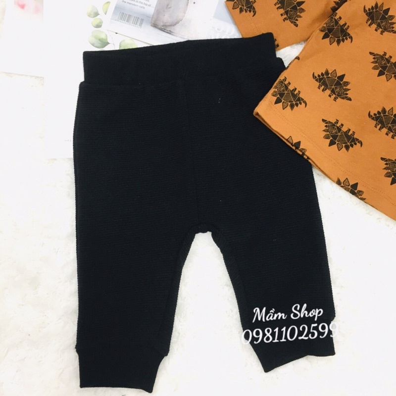 Bộ  khủng long bé trai