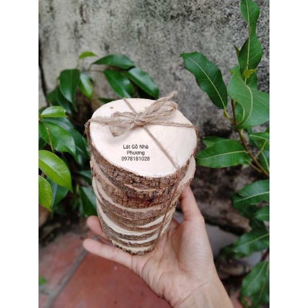 Set 10 lát gỗ 7-8cm