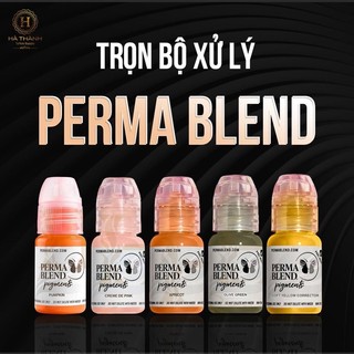 Mực phun xăm Perma Blend | Hà Thành