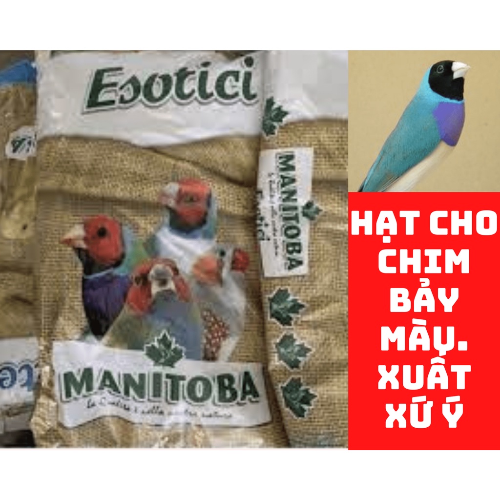 Hạt trộn cho chim bảy màu. Xuất xứ Ytalia. 1kg 70k