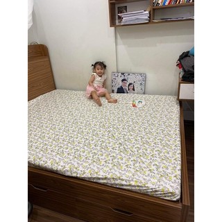 Ga chống thấm Khánh Chi 1,8x2mx10cm