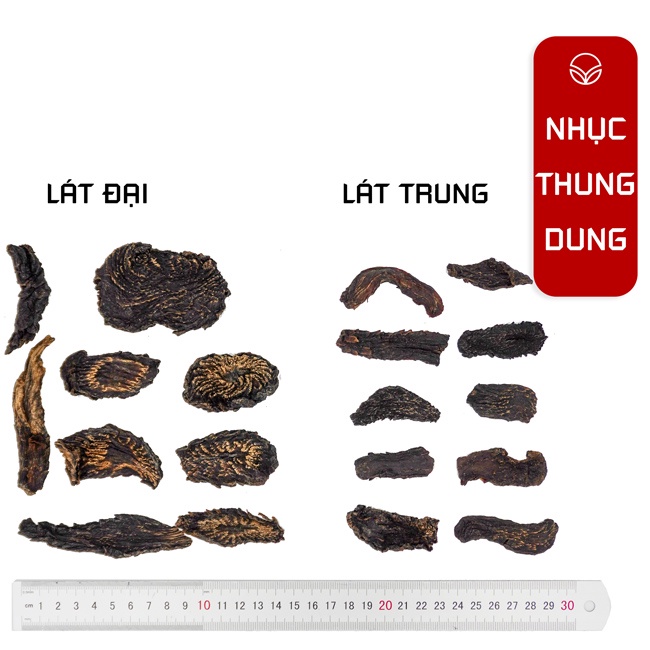 Nhục thung dung khô thái lát