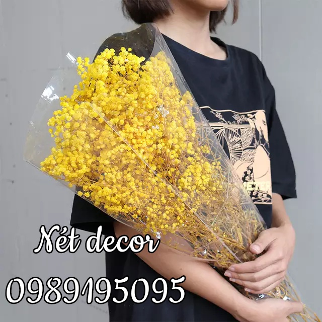 Hoa Baby khô nhiều màu không tàn dùng trang trí nhà bó nhỏ