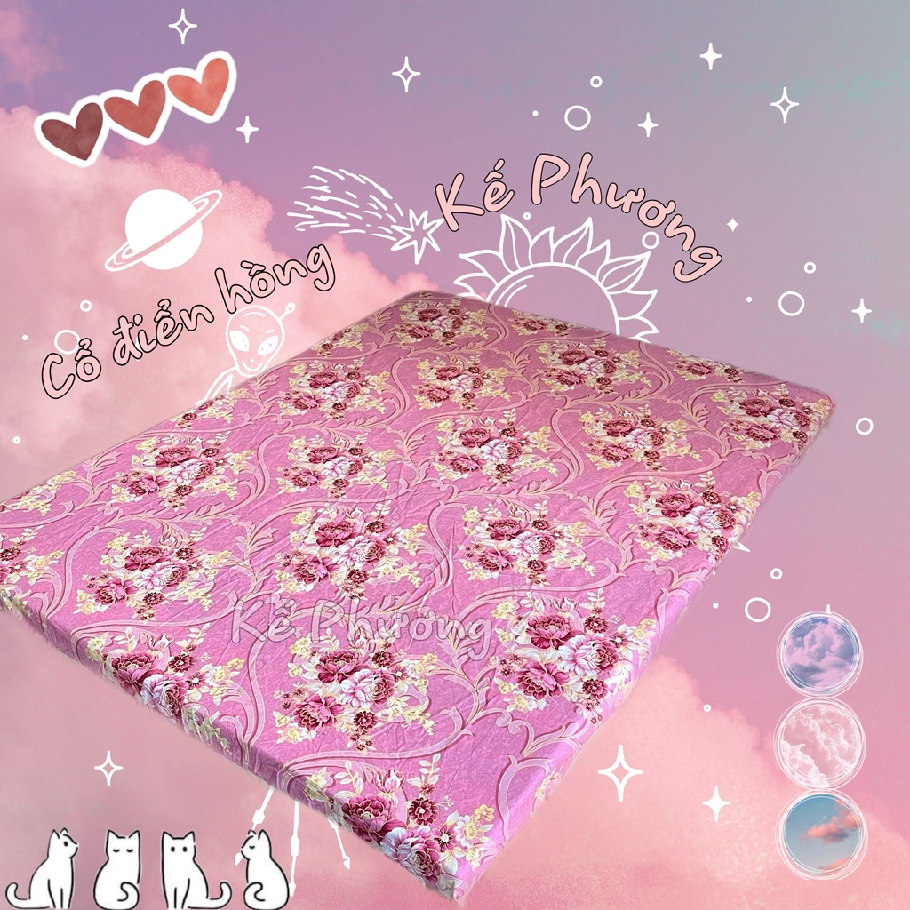 Ga bo chun các cỡ Cotton lụa 100 Drap giường cotton lụa Xuân hè  Ga giường CTL