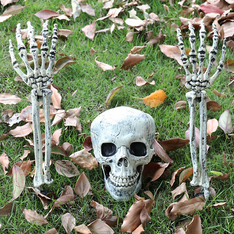 Bộ Xương Nhân Tạo Trang Trí Halloween