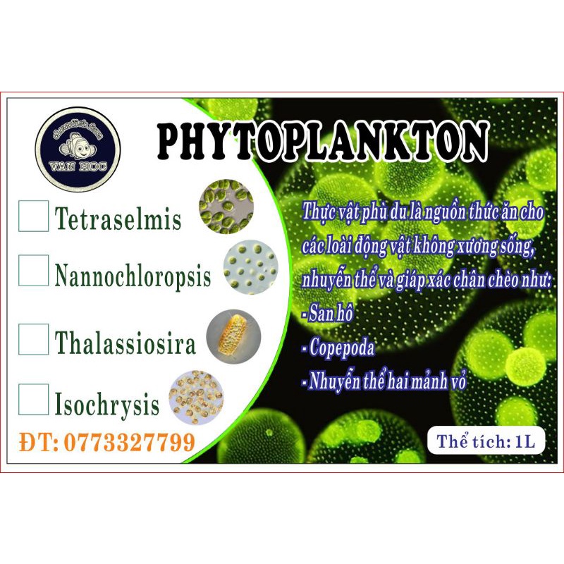 Phytoplankton- thực vật phù du - vi tảo