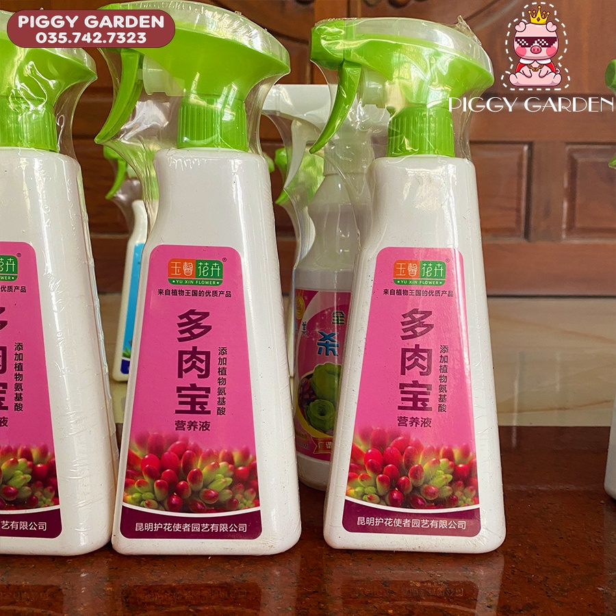 Xịt Dưỡng, Tăng Màu Cho Sen Đá 550ML