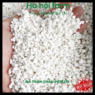 1kg đá trân châu perlite trồng cây