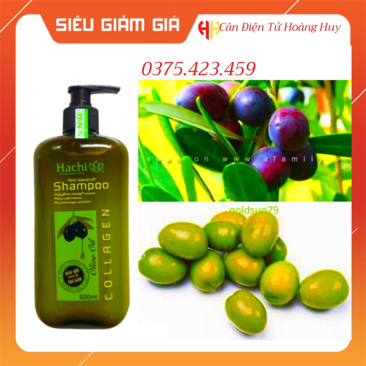 Dầu gội oliu Hachi 500ml được chiết xuất từ quả oliu giúp mái tóc ngăn ngừa gàu và giảm kích ứng da đầu