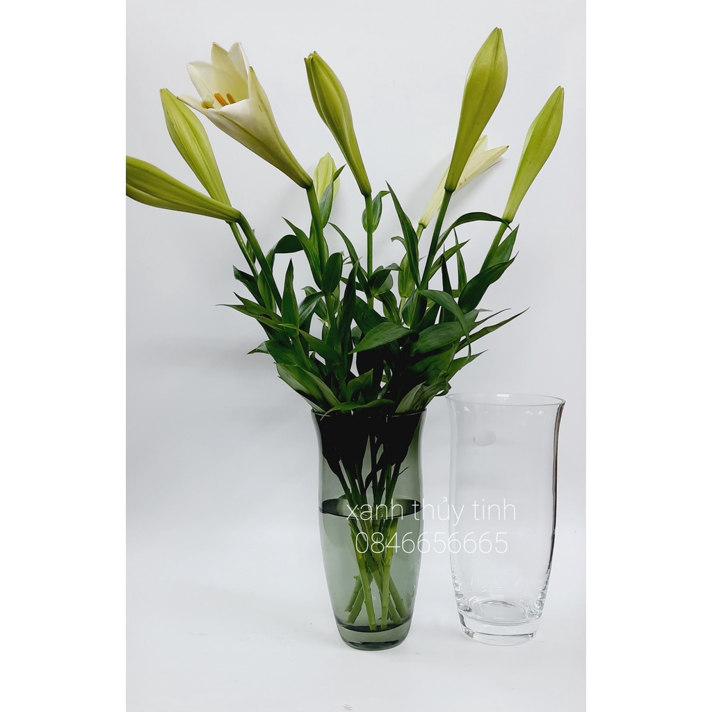 Lọ hoa thủy tinh miệng loe, dáng trụ, nhiều màu sắc cao 23cm/25cm