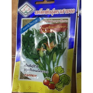Hạt giống bí siêu ngọn thái lan nhập khẩu nguyên bao bì