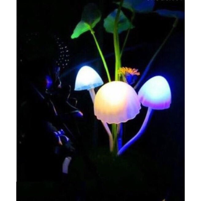 Đèn ngủ cảm ứng hình nấm avatar đèn tự sáng khi tối thiết kế đẹp tự nhiên