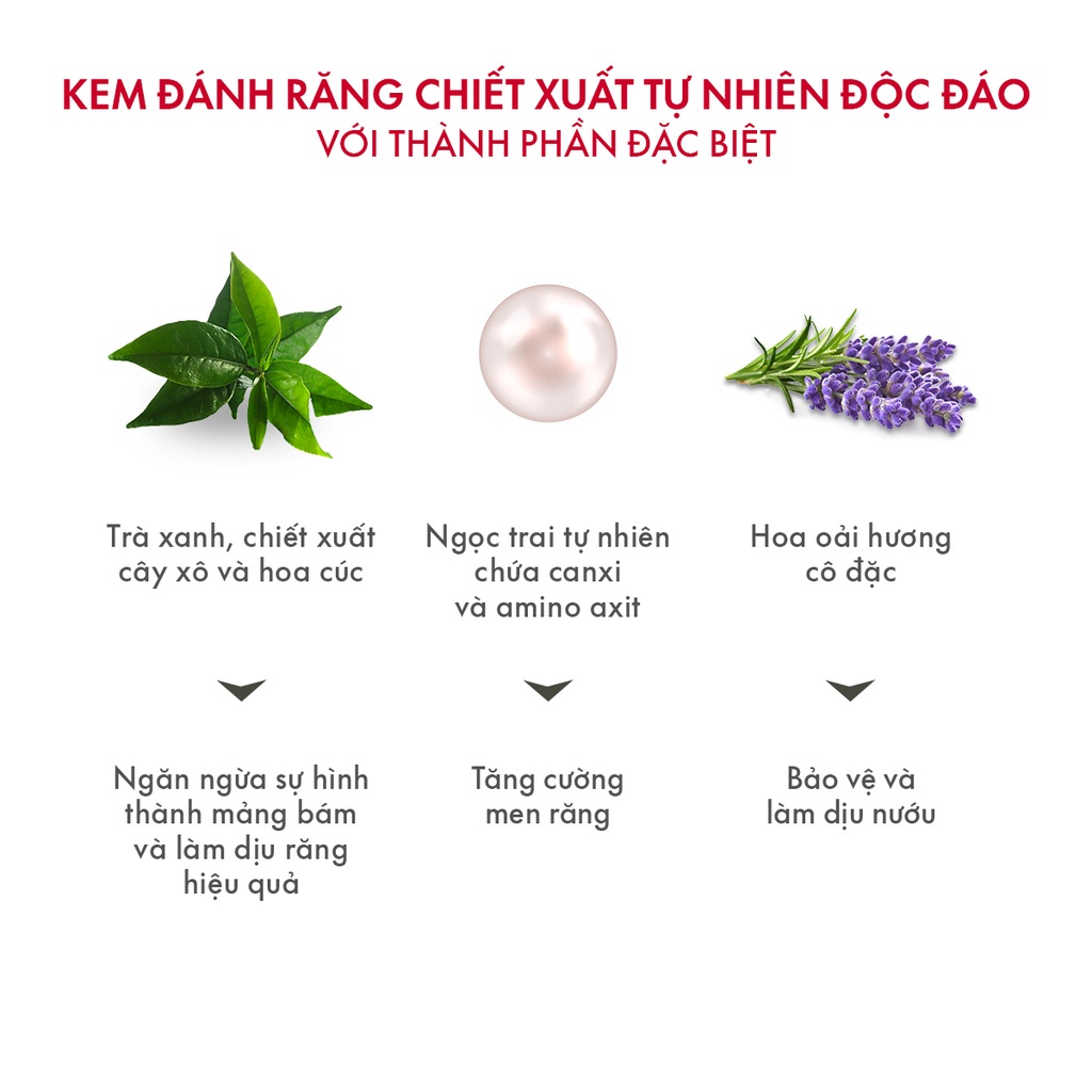 Kem Đánh Răng Ngừa Sâu Răng Hương Trà Xanh SPLAT Green Tea Professional Giảm Hôi Miệng, Thúc Đẩy Nướu Khỏe Mạnh 100ml