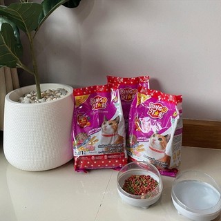 Bingostar cat 1kg Thailand