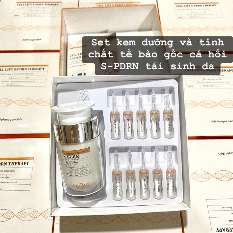 Set kem dưỡng và tinh chất tế bào gốc cá hồi S-PDRN tái sinh da