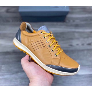 Giày golf nam - giày golf ecco nhập khẩu