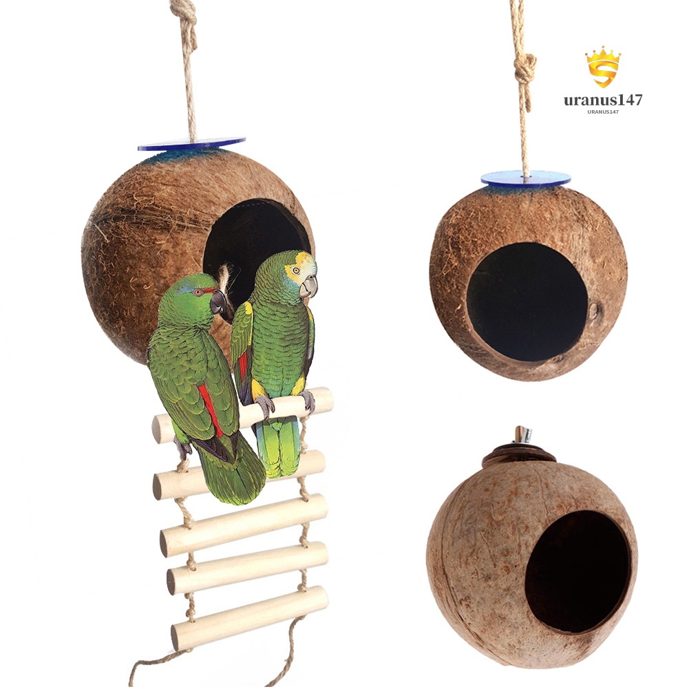 Tổ Chim Bằng Vỏ Dừa Độc Đáo