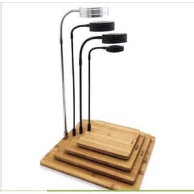 Đèn đế gỗ led, đèn thủy sinh, đèn terrarium