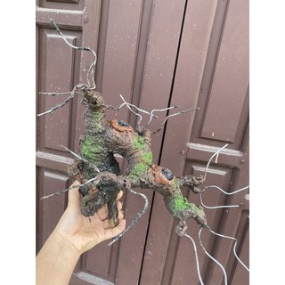 Gốc bonsai,thân cây giả, dáng Thác nước/thác đổ làm hoa mai đào, hoa Handmade trang trí nhà cửa S0279