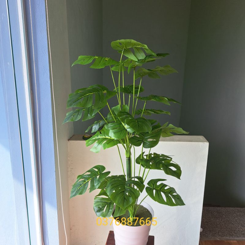 Cây lá rách cao 1M, cây lá rùa- cây giả decor khách sạn, quán cafe, nhà hàng ....