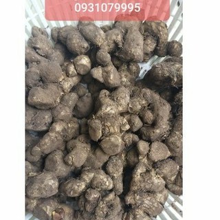 củ ngải đen tươi 1kg